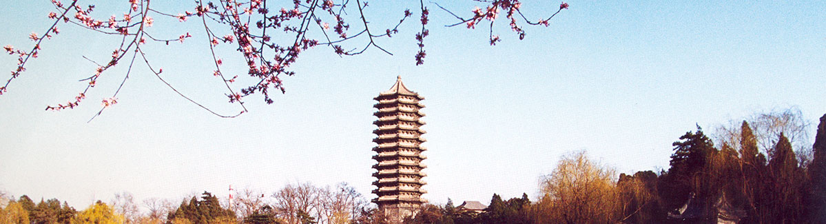 北大暑期学校图片1